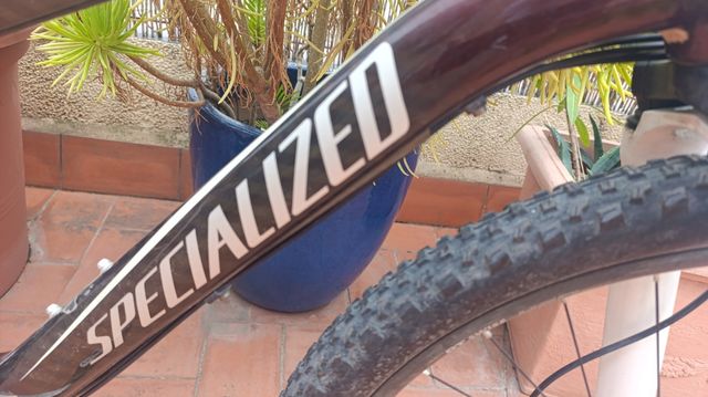 Specialized Carbon Enduro bicicleta