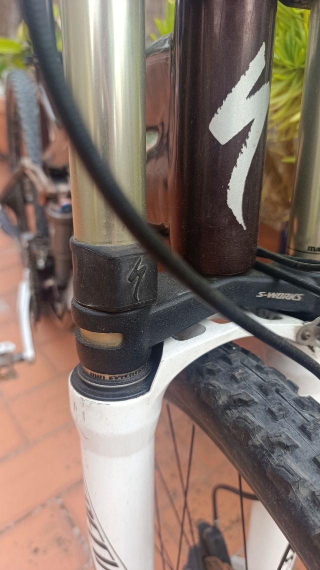 Specialized Carbon Enduro bicicleta