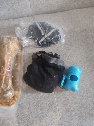 Accesorios para perro