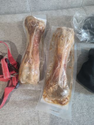 Accesorios para perro