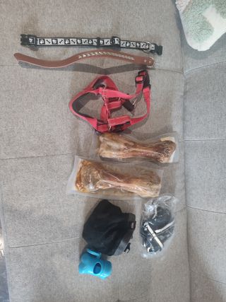 Accesorios para perro