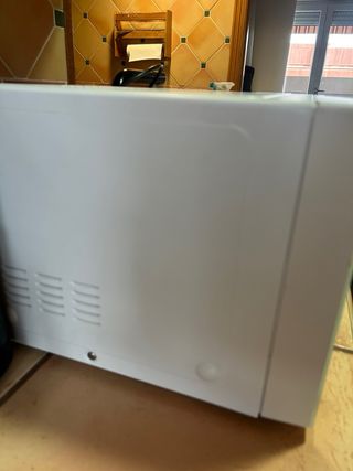 Microondas LG Smart Inverter 10