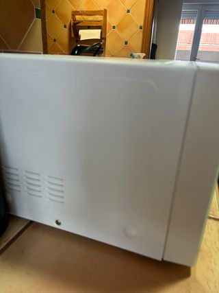 Microondas LG Smart Inverter 10