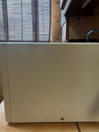 Microondas LG Smart Inverter 10