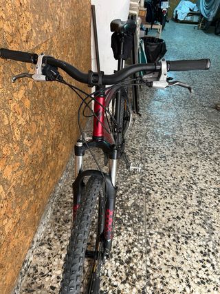 Bicicleta Montaña Specialized Talla XL