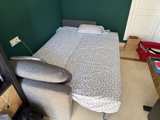 Sofá cama Ikea Friheten - Gris