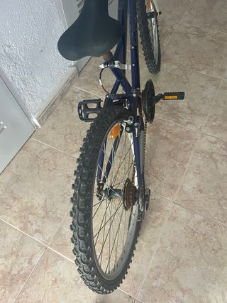 Bicicleta niño 20" azul