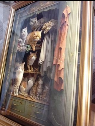 Gattino Quadro in un armadio vintage