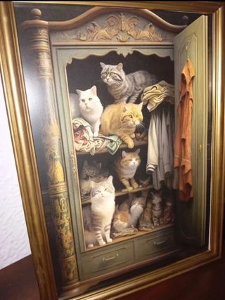 Gattino Quadro in un armadio vintage
