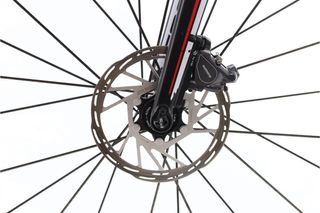 Focus Cayo Di2 11V t.50
