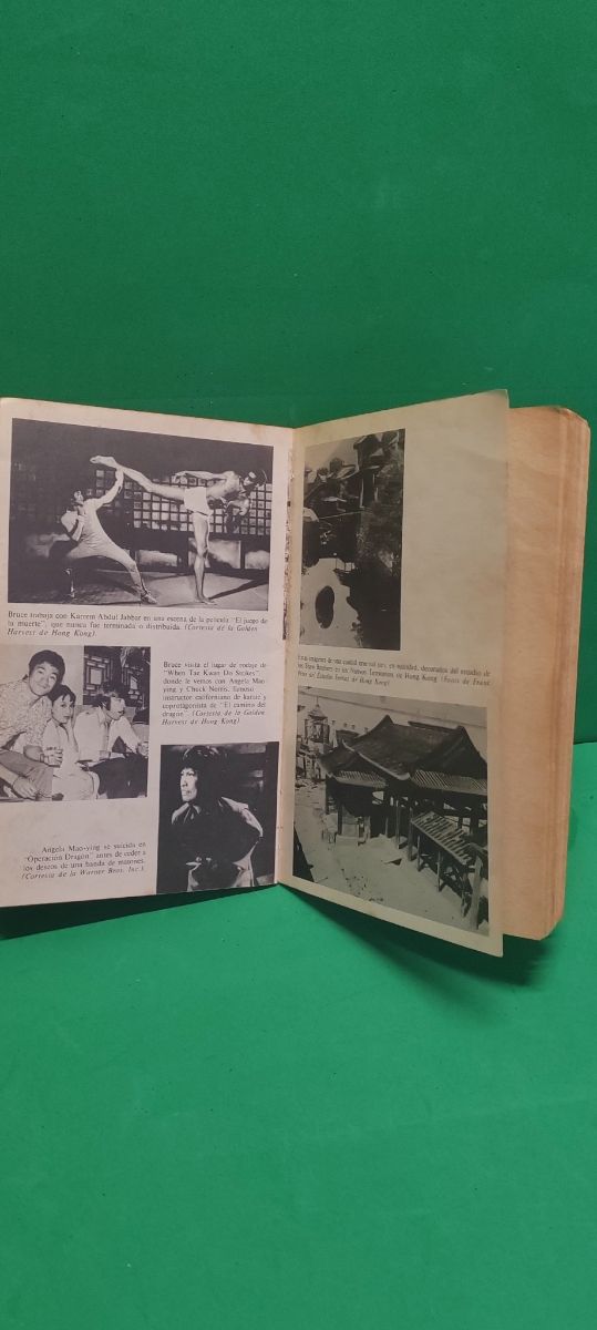  La Leyenda de Bruce, Lee Alex Ben. 