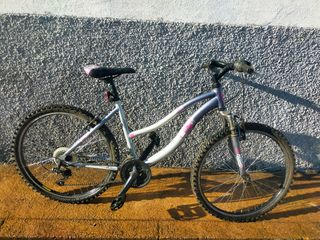Bicicleta montaña