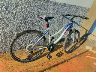 Bicicleta montaña