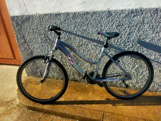 Bicicleta montaña