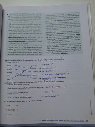 Llengua Castellana y Literatura