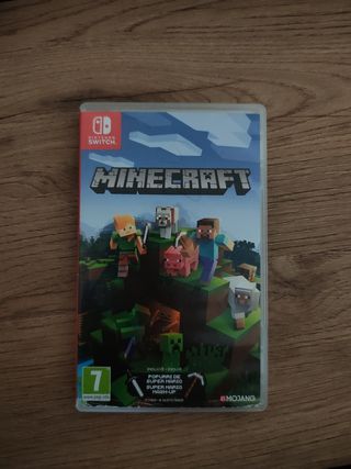 Minecraft Nintendo Switch