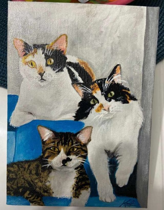 Cuadros/Dibujos Personalizados