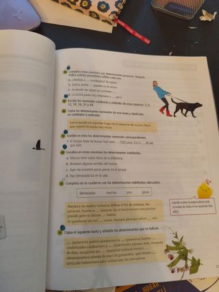 Libro Fanfest Edelvives Lengua Castellana y Lit.5⁰