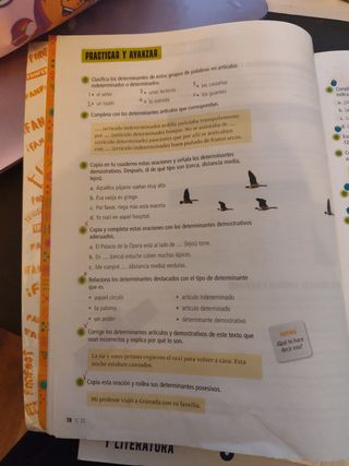 Libro Fanfest Edelvives Lengua Castellana y Lit.5⁰