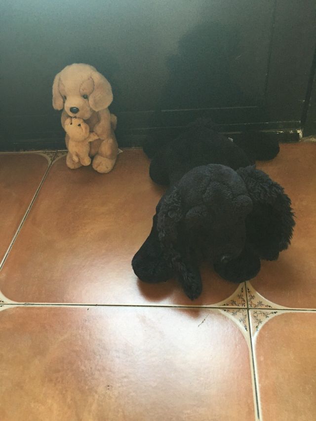 Polo Lacoste niño rayas multicolor + juguetes.