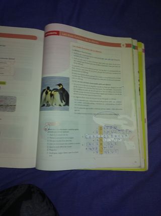 LLENGUA CATALANA I LITERATURA 2 ESO CONSTRUINT ...