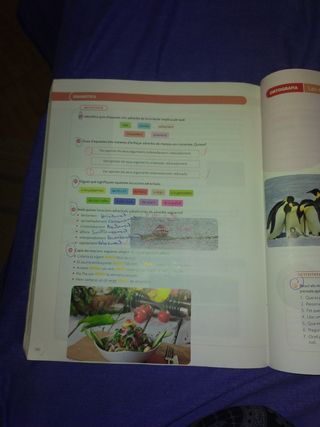 LLENGUA CATALANA I LITERATURA 2 ESO CONSTRUINT ...