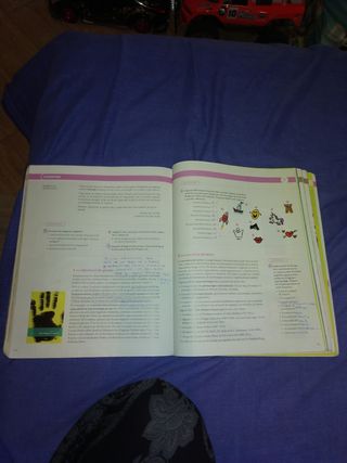 LLENGUA CATALANA I LITERATURA 2 ESO CONSTRUINT ...