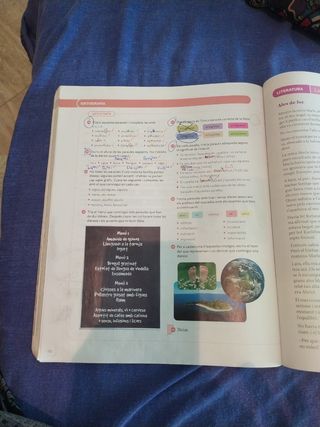 LLENGUA CATALANA I LITERATURA 2 ESO CONSTRUINT ...