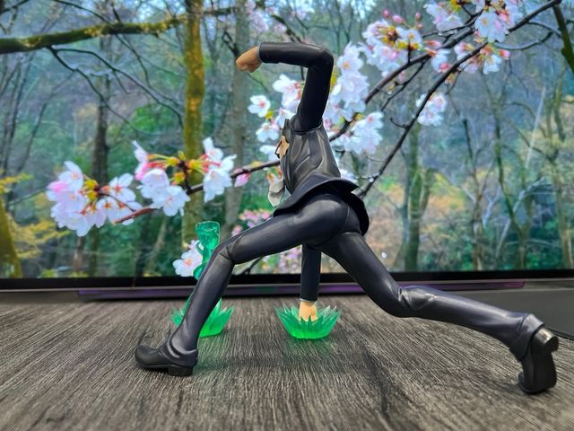 Figura Leorio HxH - Nen