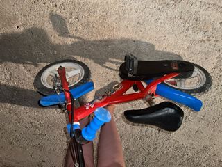 Bicicleta infantil Patrulla canina 