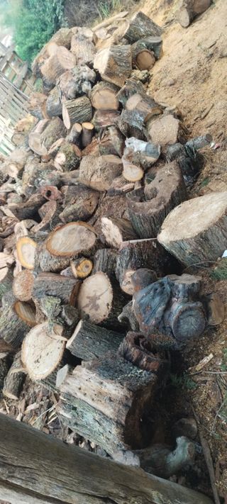 Leña de olivo y almendro 100% seca..