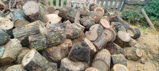 Leña de olivo y almendro 100% seca..