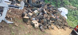 Leña de olivo y almendro 100% seca..