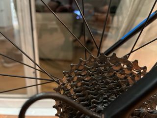 Wilier Triestina GTR Team 2020