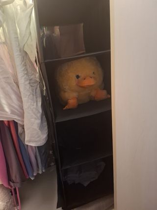 Organizador armario 4 estantes - Negro