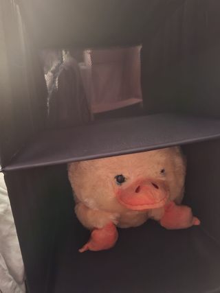 Organizador armario 4 estantes - Negro
