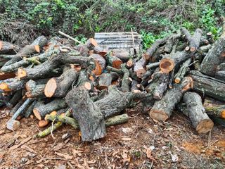 Leña Olivo & Almendro - Seca