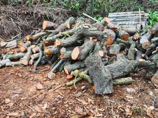 Leña Olivo & Almendro - Seca