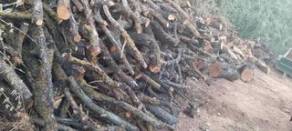 Leña Olivo & Almendro - Seca