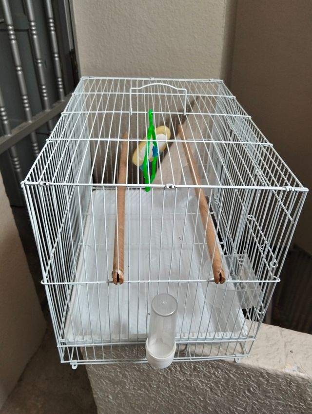 Jaula pajaros blanca