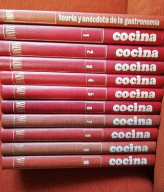 Enciclopedia Salvat de la cocina (Spanish Edition)