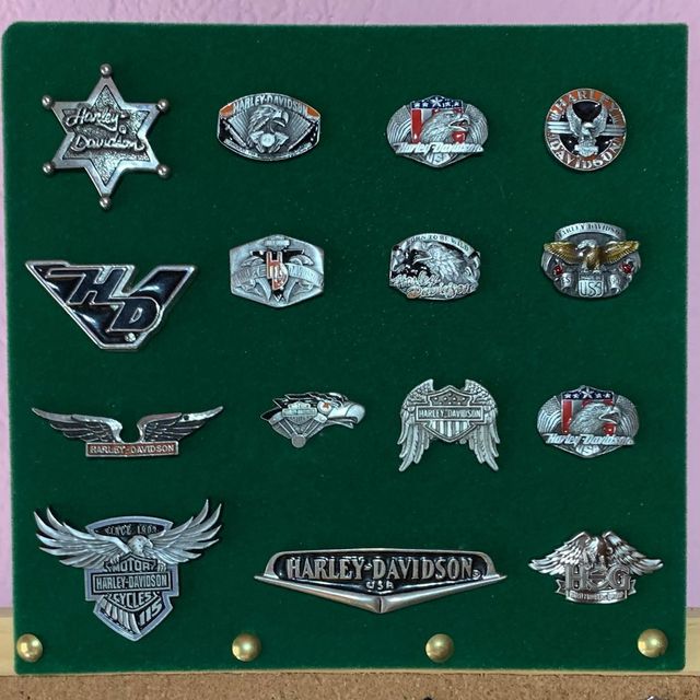 Coleção de alfinetes Harley Davidson