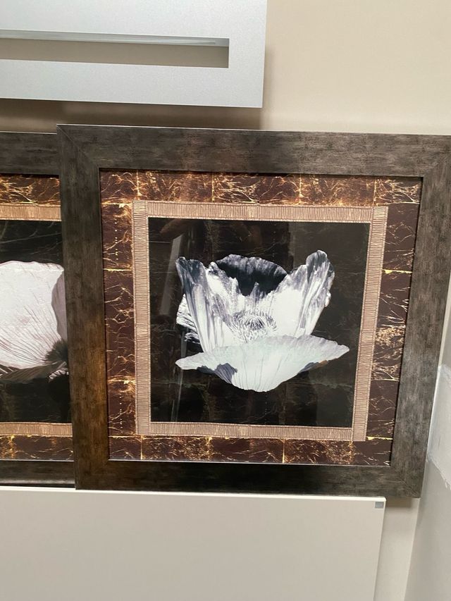 2 Cuadros Flores Metalizados