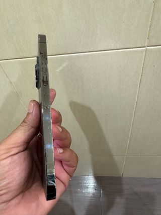 iPhone 13 Pro Max 128GB - Gris