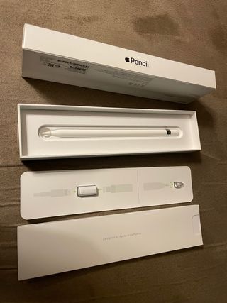 Apple Pencil iPad Pro (6ª Gen)