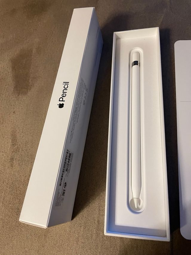 Apple Pencil iPad Pro (6ª Gen)