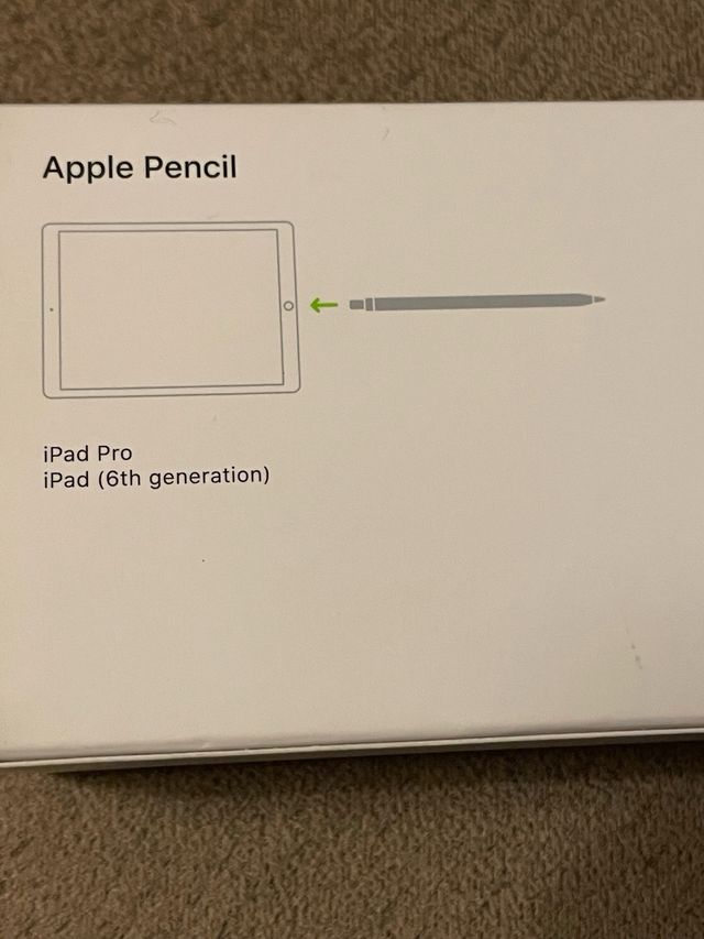 Apple Pencil iPad Pro (6ª Gen)
