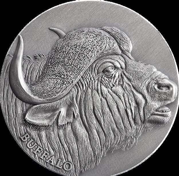 Moneda Plata Búfalo 2 Oz Camerún