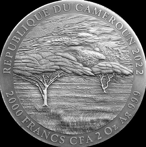Moneda Plata Búfalo 2 Oz Camerún