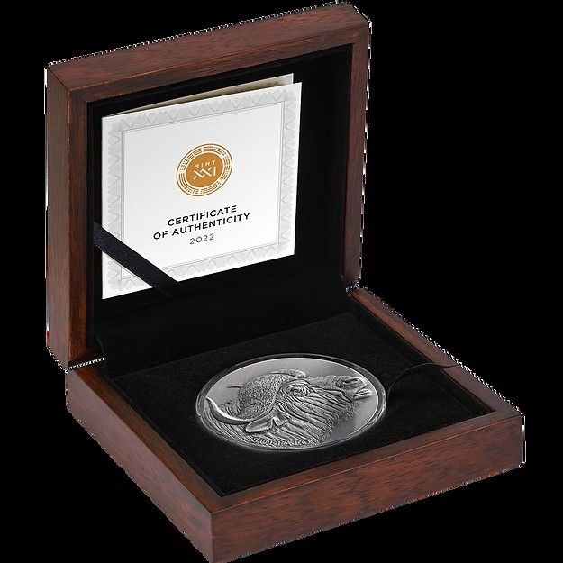 Moneda Plata Búfalo 2 Oz Camerún